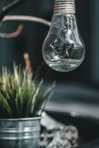 Close-up of light bulb