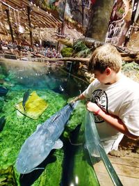 Boy looking at fish in water
