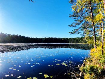 Scenic view of lake against clear blue sky