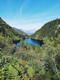 Scenic view of lake in forest against sky