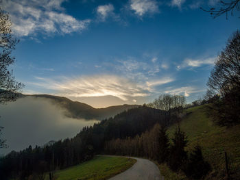 nature