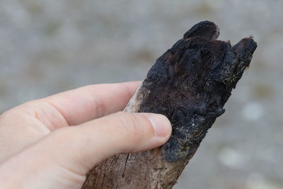 Close-up of hand holding rock