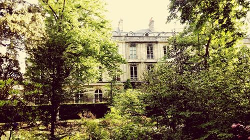 Building with trees in background