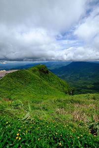 Scenic view of landscape against sky