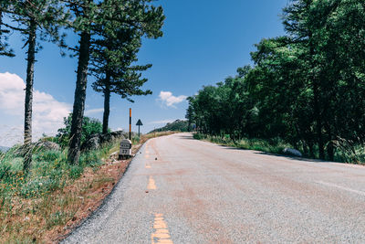 Road amidst trees against sky