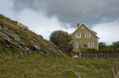 View of a building