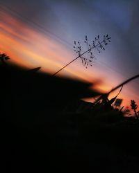 Silhouette birds flying against sky during sunset