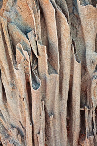 Close-up of sculpture