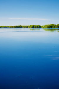 Clear blue sky reflecting on the waters of sanibel island national park