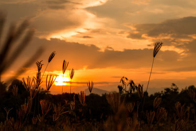 Scenic view of silhouette field against sky at sunset