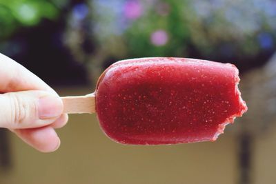 Close-up of hand holding ice cream