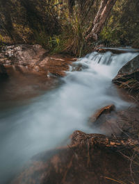 Stream flowing through rocks in forest