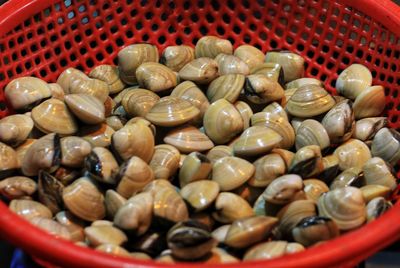 High angle view of mussels in container