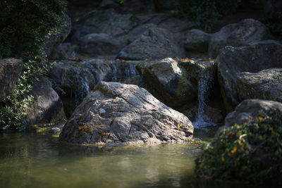 River flowing through rocks in forest