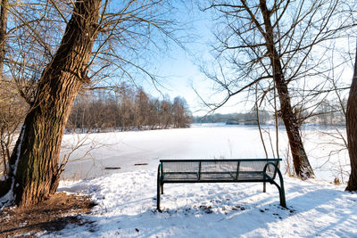 Bench in park during winter