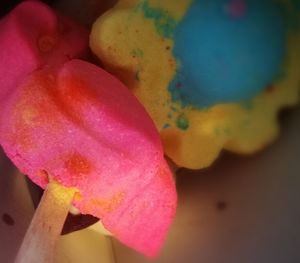 Close-up of multi colored flower