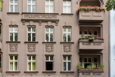 Full frame shot of potted plants in building