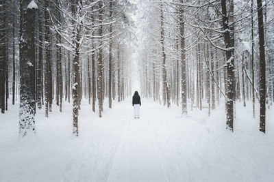 Rear view of person in snowy forest in winter