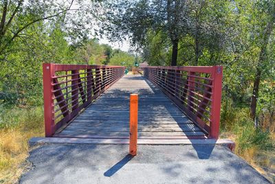 Footbridge amidst trees in forest