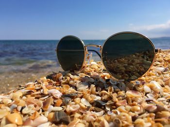 Close-up of sunglasses on seashells at beach