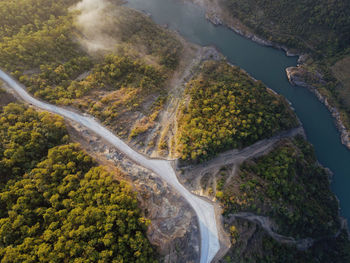 High angle view of road amidst trees