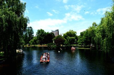 Calm river with trees in background