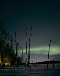 Silhouette trees on field against sky at night