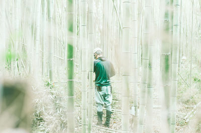 Rear view of man standing on field in forest