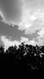 Low angle view of trees against sky