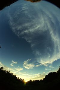 Silhouette of trees against cloudy sky