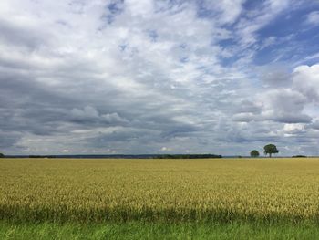 Scenic view of landscape against clear sky