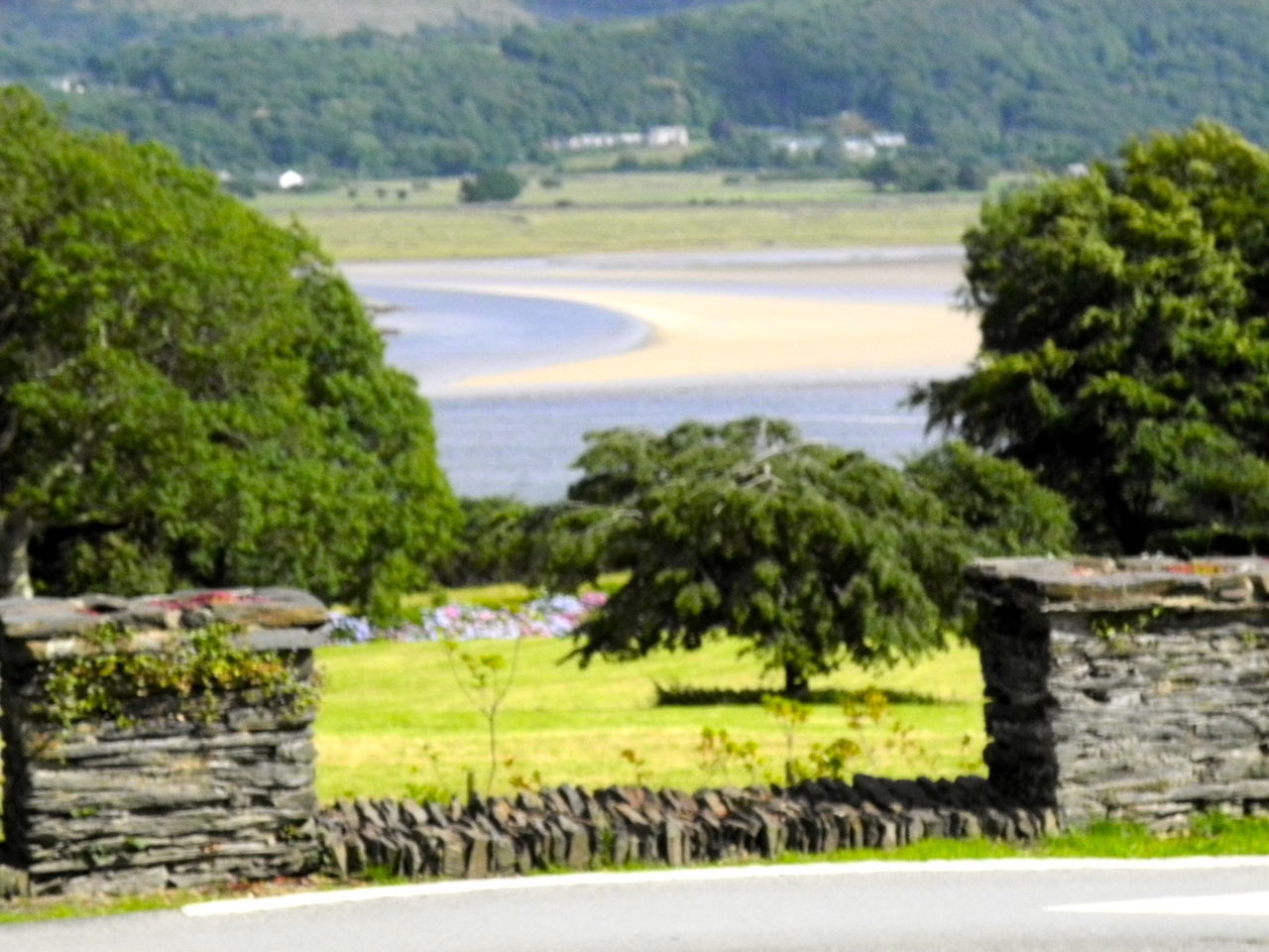 SCENIC VIEW OF LANDSCAPE AND TREES