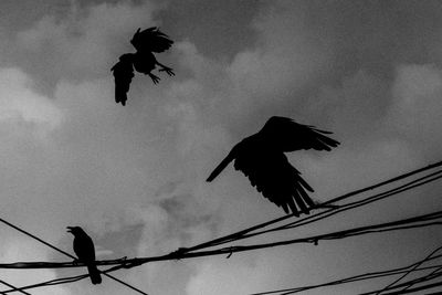 Low angle view of silhouette bird flying against sky