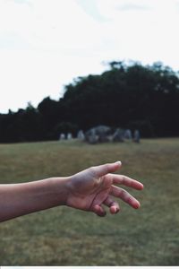 Close-up of person hand touching plant