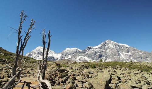 Scenic view of mountains against clear blue sky
