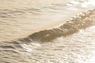 Close-up of water