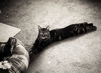 Low section of man sitting on floor