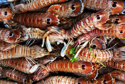 Full frame shot of shrimps for sale at market