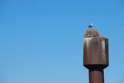 Stork's nest on the old water tower.