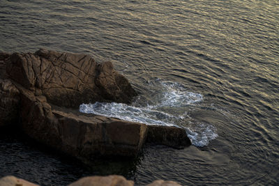 High angle view of sea waves splashing on rock