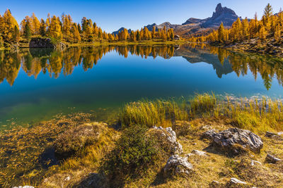 Scenic view of lake by trees against sky