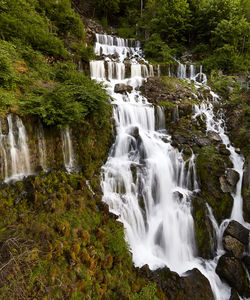 Scenic view of waterfall in forest