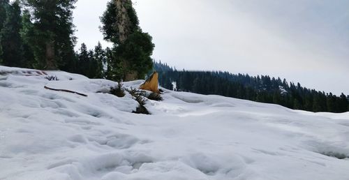 Scenic view of snow covered trees against sky