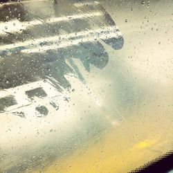 View of road along trees