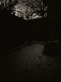 Silhouette trees by building against sky at night