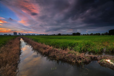 Scenic view of field against sky during sunset