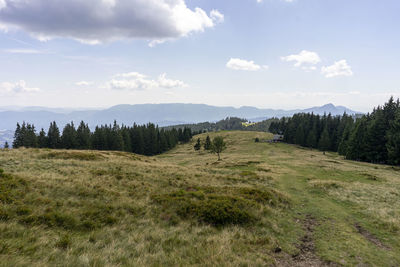 Scenic view of field against sky