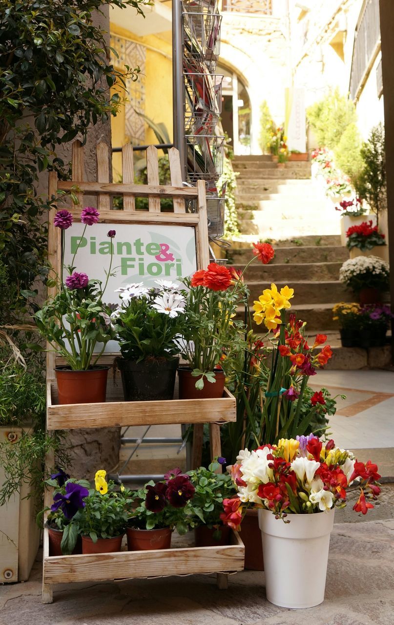 flower, potted plant, plant, growth, nature, outdoors, no people, building exterior, day, fragility, freshness, multi colored, flower shop, beauty in nature, architecture, window box, flower head