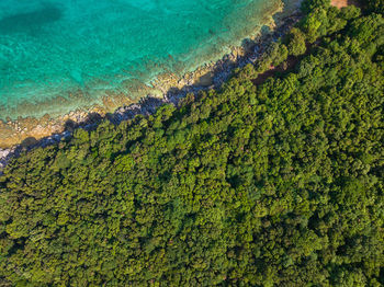 High angle view of beach