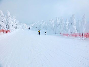 People skiing on snow covered landscape